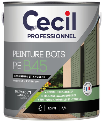 Peinture extérieure bois haute performance PEB45PEINTURE - Anthracite M Mat - 2,5L
