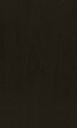 CARRELAGE MURAL HI TALLINN NOIR 25 X 40 X 0.8 CM