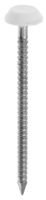 Pointe annelée inox A4 tête plastique blanc 2,5 x 50 mm x15