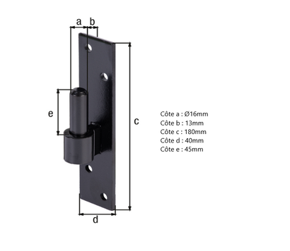 GOND SUR PLATINE D.16 - 180 X 40