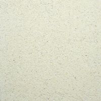 DALLE CHANT VU GRENAILLEE GRANITEE 50X50X5 CM APOLLO