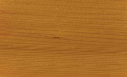 Vernis EXP - Chêne clair Satiné - Pot de 1L