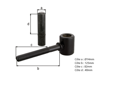 GOND A VISSER NOIR D.14 - 125 X 82 M10