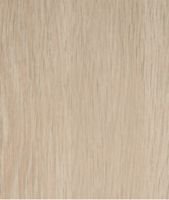 Bande de chant ABS brute 2414 VL - larg. 23MM x haut. 0,8MM x prof. 25M