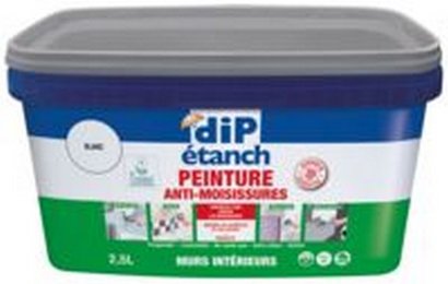 Peinture d'étanchéité Dip Etanch Anti-Moisissures Blanc 2.5L