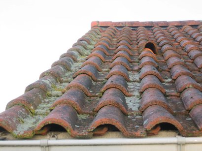 Traitement curatif et préventif toitures murs et façades 5L