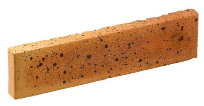 PLAQUETTE DE PAREMENT TERRE CUITE TRADITIONNELLE LEOPARD