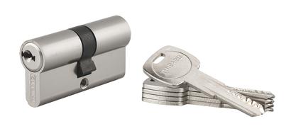 Cylindre trafic 6 30MM x 30MM nickel 5 clés - Thirard