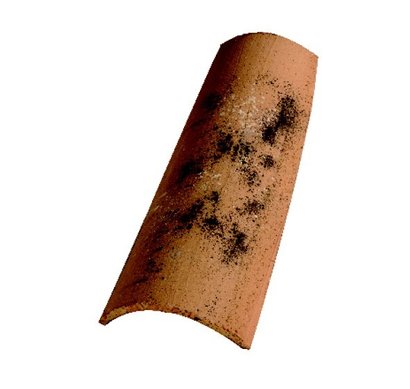 TUILE CANAL 50 RÉABILIS DOMITIA