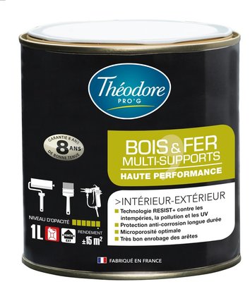PEINTURE BOIS ET FER Noir RAL 9005 1 L