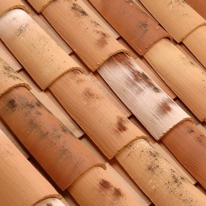 TUILE CANAL 50 TERROIR