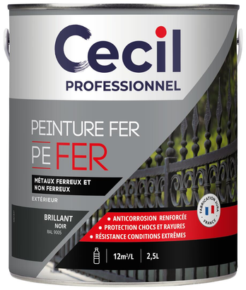 Peinture extérieure fer FERPEINTURE - Noir Brillant - 2,5L