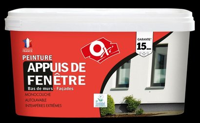 Peinture acrylique appuis de fenêtre et bas de murs classique satiné meuliere 5 L