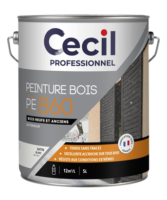 Peinture extérieure bois conditions extrêmes PEB60PEINTURE - Blanc Satin - 5L