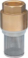 clapet anti-retour avec filtre inox F.20x27 C1