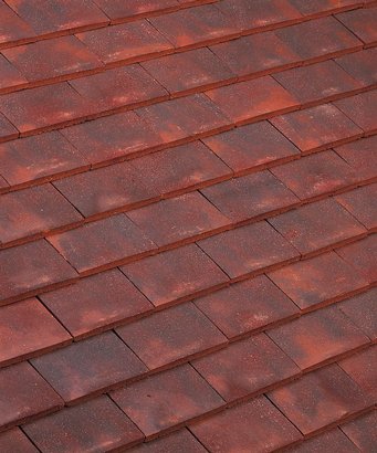 TUILE PLATE PRESSÉE 17 X 27 VIGNOBLE