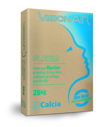 Ciment gris VisionAIR Flexia 12,5 sac 25kg
