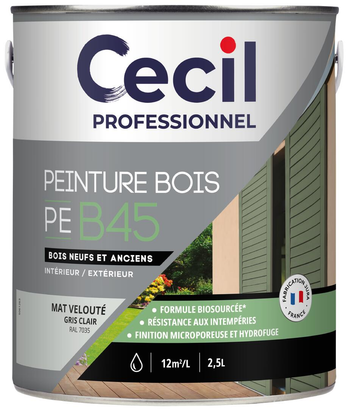 Peinture extérieure bois haute performance PEB45PEINTURE - Gris Clair Mat - 2,5L