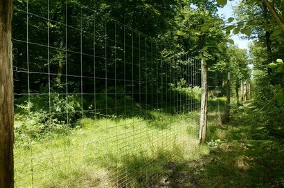 CLOTURE ARIZONA AVF 180-14-15 50 ML