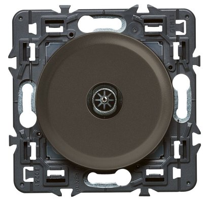 CELIANE PRISE TV MÂLE SIMPLE GRAPHITE