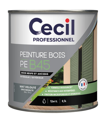 Peinture extérieure bois haute performance PEB45PEINTURE - Gris Basalte Mat - 0,5L
