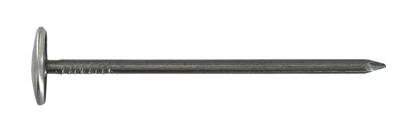 Clou calotin Acier zingué 2,7x50 Vybac de 60