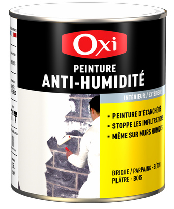 PEINTURE GLYCERO MURS ANTI-HUMIDITE MAT BLANC 2.5 L