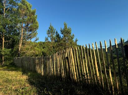 Ganivelle châtaignier Debarge H120 cm x 5 m