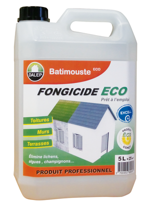 Fongicide Prêt à lEmploi BATIMOUSTE ECO Bidon 5 litres pour 25 m2
