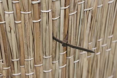 Collier de fixation type Colsons, coloris vert - 15 cm - 25 pcs