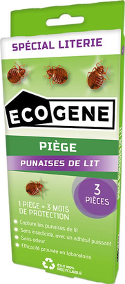 Piege punaise de lit x3