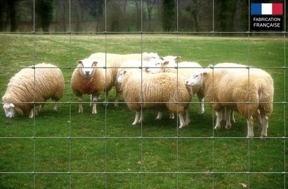 GRILLAGE GALVA MOUTON HT 1.50 L 50 M PATURAGE 9 FILS MAILLE 150 DIA 2.0-2.4 MM