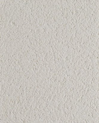 Peintures à la chaux CALCILANE BADIGEON V20 25KG vert astral