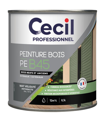 Peinture extérieure bois haute performance PEB45PEINTURE - Anthracite M Mat - 0,5L