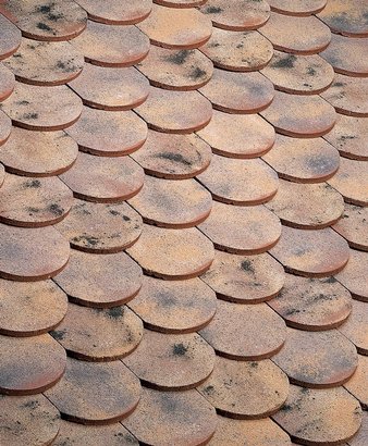 TUILE PLATE ECAILLE PRESSÉE 17X27 TERRE DE BEAUCE