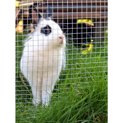 Grillage Soudé VOLIFORT Ht 0,50 m Galva - Maille 13 x 13 mm - Fil 0,90 mm - Rouleau 25 ml