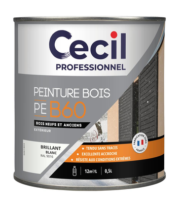 Peinture Bois PE B60 - Blanc Brillant - Pot de 0,5L