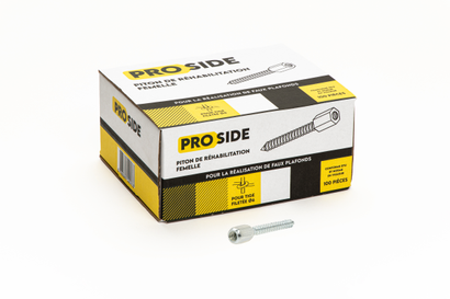 PITON REHABILITATION FEMELLE PROSIDE BOITE DE 100