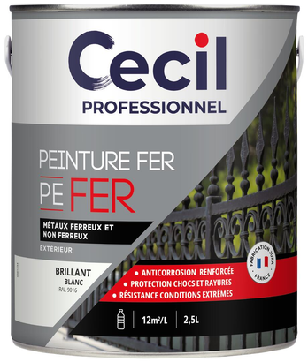 Peinture extérieure fer FERPEINTURE - Blanc Brillant - 2,5L