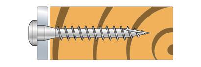 Vis pour connecteurs CSA tête ronde T20 - Ø5 x 50MM - Boite de 250 pièces