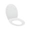 Abattant wc everest thermodur - Wirquin