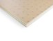 Panneau d'isolation Eurosol Ep. 66 mm L. 1.2m x l. 1m R 3.00