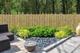 Canisse naturelle en bambou entier (Ø30/40 mm) PREMIUM (type Fargesia) - occultant 3/5 - 1 x 2 m